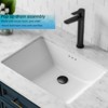 WOWOW 2 1/8 in. x 9 1/2 in. x 9 1/2 in. Pop-up Drain Assembly - 4 of 4