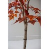 Artificial Autumn Birch Tree in Black Pot – 55" Tall by Kalalou - 4 of 4