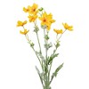Allstate Floral 27.5" Gold and Yellow Baby Cosmos Artificial Silk Floral Spray - 3 of 4