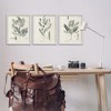 Stupell Industries Green Botanical Latin Study, 16" x 20" - 2 of 4