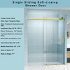 NicBex Shower Door 76"H Frameless Single Bypass Bathroom Sliding Shower Door with 1/4" (6mm) Tempered Glass Soft-closing, Gold - 2 of 4