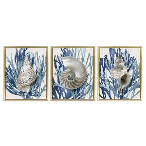 Stupell Industries Trio of Shells & Coral, 17" x 21" - 1 of 4