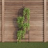Garden Trellis- For Climbing Plants- Decorative Curving Flower Stem Metal Panel -For Vines, Roses, Vegetable Plants & Flowers by Pure Garden - 4 of 4
