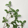 25" Faux Gypsophila Leaf Stem - Hearth & Hand™ with Magnolia - 3 of 3