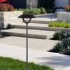 C Cattleya 1-Light Matte Black LED Path Light with Ground Stake - 2 of 4