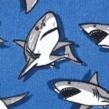 sharks