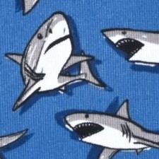 sharks