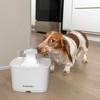 Premier Pet Automatic Water Fountain for Cats and Small Dogs - 60oz - 3 of 4