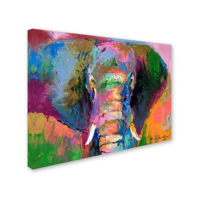 Trademark Fine Art - Richard Wallich 'Elephant 2'