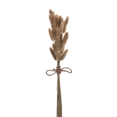 Transpac Natural Fiber 20.08" Brown Spring Floral Bunny Tail Grass Bunch