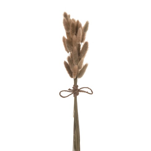 Transpac Natural Fiber 20.08" Brown Spring Floral Bunny Tail Grass Bunch - image 1 of 2