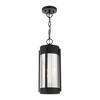 Livex Lighting Sheridan 2 - Light Pendant in  Black/Brushed Nickel - 2 of 4