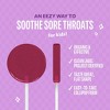 The Eez Co. Lolleez Organic Throat Soothing Pops - Mixed Berry/Elderberry - 15ct - 4 of 4