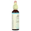 Bach Original Flower Remedies, Vervain, 0.7 fl oz (20 ml) - 4 of 4