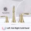 PAGED 8 Inch Widespread Bathroom Faucet 2-Handle Sink Faucet 3 Hole Lavatory Faucet with Pop Up Drain Assembly and Water Supply Hoses - 3 of 4