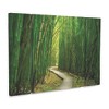 Trademark Fine Art Dennis Frates Bamboo Path 3 Piece Panel Set Art - 2 of 3