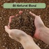 Soil Sunrise Desert Rose Potting Soil Mix, Repot, Sprout and Grow Potted Plants - 4 of 4