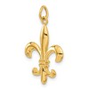 Black Bow Jewelry 14k White or Yellow Gold Solid 3D Fleur De Lis Pendant, 17mm (5/8 in) - 4 of 4
