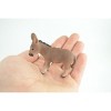 Collectible Wildlife Gifts | Donkey Baby, Burro Foal, Hand Painted, Museum Quality, Rubber Animal, Realistic Toy, Gift,  2 3/4 Inches.  CH942 BB208 - 2 of 4