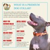 Country Brook Petz Premium Dog Collar - Camouflage Collection - 4 of 4