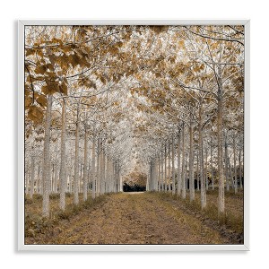Stupell Industries White Gold Birch Grove Framed Giclee Art - 1 of 4