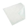 Wings Plus Incontinence Underpads, Heavy Absorbency, 30 in x 30 in, 100 Count - image 2 of 4