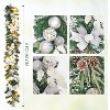 COZONY 6-Foot LED Christmas Wreath with Pine Cones and Bows, Battery Operated Artificial Holiday Garland for Indoor Outdoor Decor - 2 of 4
