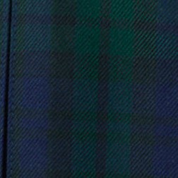 classic navy/evergreen plaid