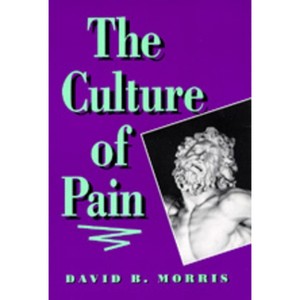 The Culture of Pain - by  David B Morris (Paperback) - 1 of 1