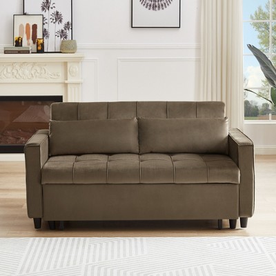 DOMETOUR Convertible Loveseat Sofa Bed with Pull-Out Bed for Living Room Bedroom, Adjustable Backrest Sleeper with 2 Pillows