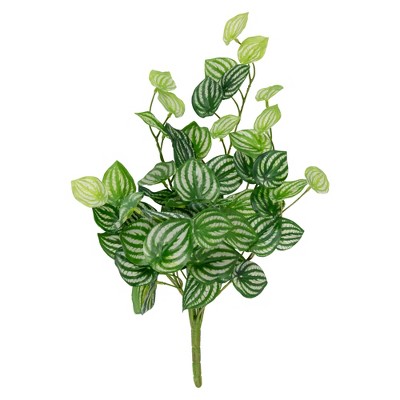 Allstate Floral 16" Large Peperomia Watermelon Leaves Artificial Plant