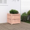 vidaXL Garden Planter - Decorative Outdoor Herb Plant Pot - Solid Douglas Wood, 19.7" Square - 2 of 4