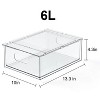 LunaLulinlk Clear Stackable Refrigerator Organizer Bins Pull-Out Drawers for Fruit and Veggies, 12L - 3 of 4