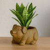 Classic Home and Garden Cement Buddies Indoor/Outdoor Planter with Drainage Hole, Piglet - 3 of 3