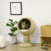 PawHut Hooded Elevated Cat Bed Rattan Kitten Condo Round with Cushion - 3 of 4
