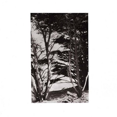 Rick Deitrick - Gentle Wilderness (LP) (Vinyl)