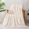 Aoibox Extra Large Soft Fleece Throw Blanket, Stylish Jacquard Pattern for Couch, Fuzzy Cozy Lightweight for All Seasons, Ivory - 2 of 4
