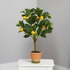 Nearly Natural 24-in Lemon Artificial Tree - 3 of 4