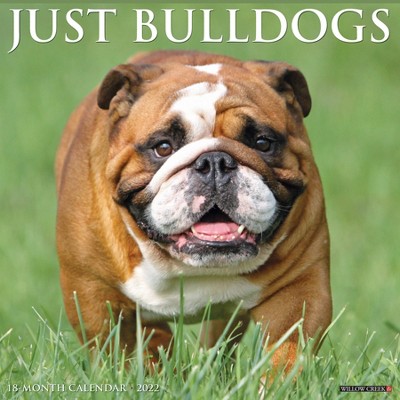 2022 Wall Calendar Just Bulldogs - Willow Creek Press