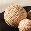 Plum & Post Jace Water Hyacinth Orbs, Natural Decorative Accents, 3pc - 2 of 4