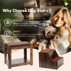 Kumasinova Bunk Pet Bed,Double Decker Dog&Cat Bed with Removable Steps,Dog Bed with Cat Scratching Pad,Pet Furniture for Small/Medium Pets,Vintage - 4 of 4