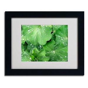 Trademark Fine Art -Kathie McCurdy 'Water Droplets' Matted Framed Art - 1 of 3