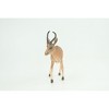 Collectible Wildlife Gifts | Gazelle Antelope, Hand Painted, Museum Quality, Rubber Animal, Diorama, Toy,  Gift, 3 1/2 Inches.  CH857 BB198 - 4 of 4