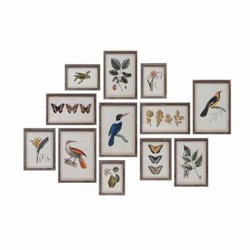 Set of 12 "Insects, Birds, Plants and Fruit"  Wood Framed Glass Wall Decor  - Storied Home