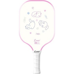 Luzz Pickleball Paddles, T700 Carbon Fiber Pickleball Paddle Sandblasted Surface with Honeycomb Core Pickle Ball Rackets for Ultimate Spin & Control - 1 of 4