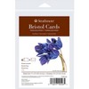 Strathmore 400 Series Bristol Cards & Envelopes, Anniversary Size, 3.5x4.875 inch, 6 Per Pack, 3 Packs - 2 of 4