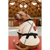Parisian Pet 'Karate Academy' Halloween Costume for Dogs & Cats – Adorable Martial Arts Dog Costume, Pet Halloween Outfit, White Black and Red - 2 of 2