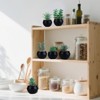 BRINJOY 6-Piece Flocked Succulent Plants Set - Realistic Artificial Potted Greenery in Black Pots for Home & Office Decor - 2 of 4