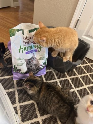 Guest review image 1 of 3, zoom in