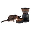 Aspen Pet Electronic Programmable Food Dispenser For Cats & Small Dogs - Black - image 3 of 4
